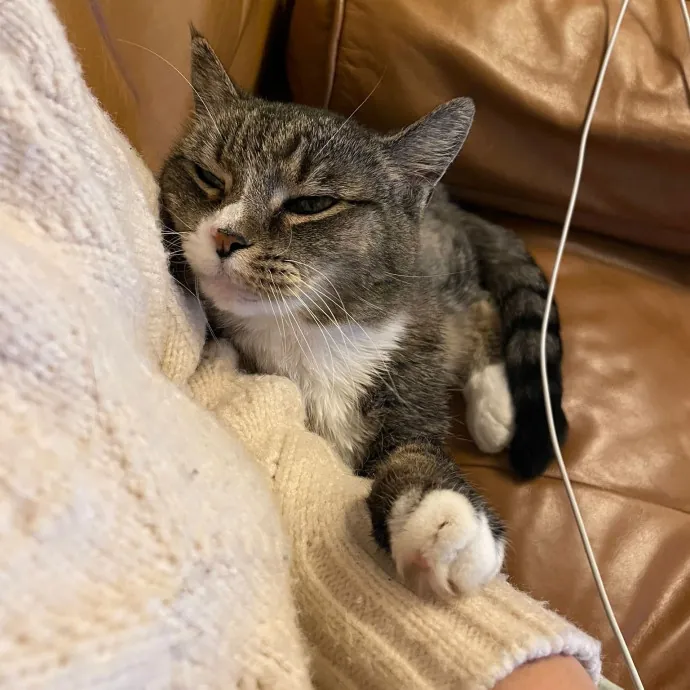 Quality Time With A Caring Sitter photo 3