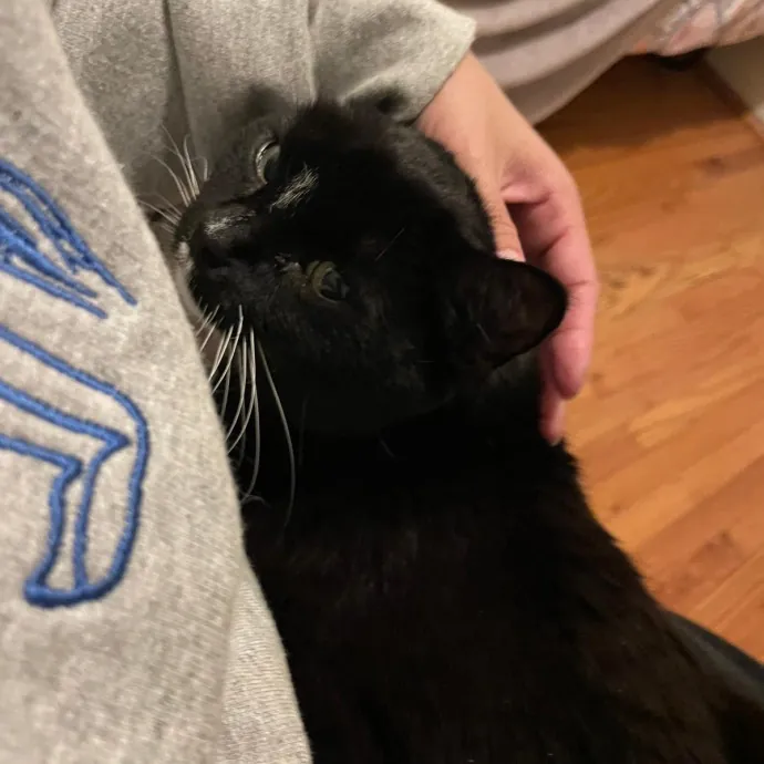 Quality Time With A Caring Sitter photo 2