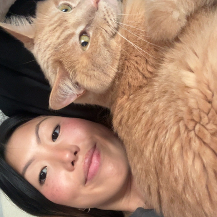 Your Cat's New Bff