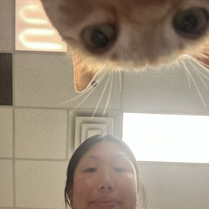 Your Cat's New Bff