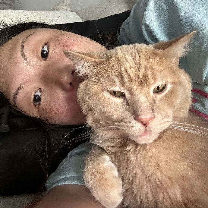 Your Cat's New Bff