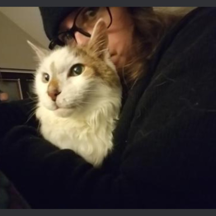 Gentle Experienced Cat Companion