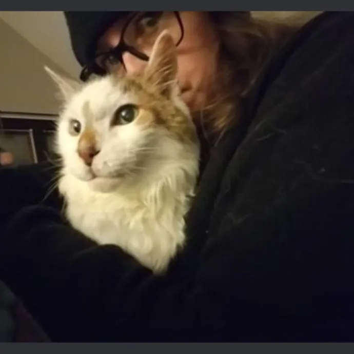 Gentle Experienced Cat Companion