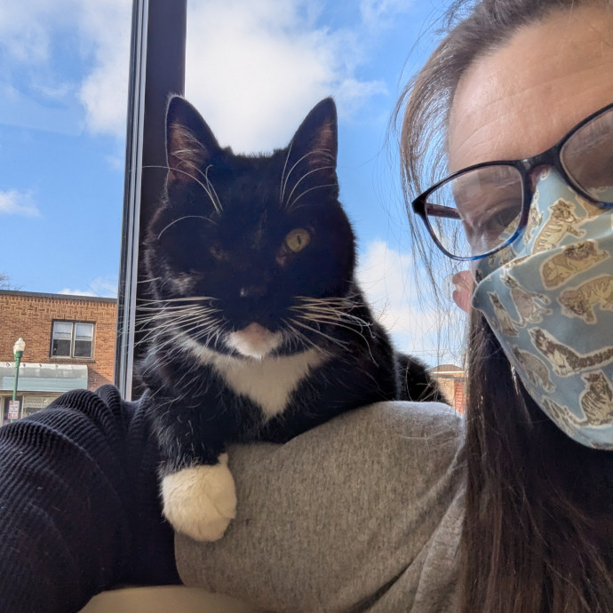 Gentle Experienced Cat Companion