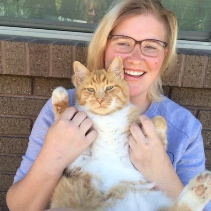 Richmond Cat Care By Donna photo 3