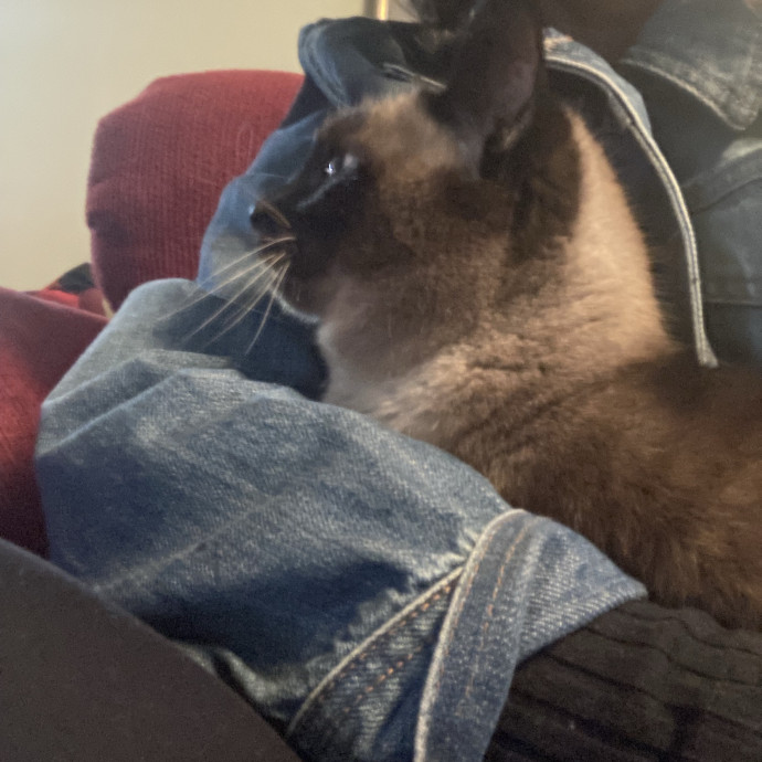 Loving Dependable  Mature Care photo 3