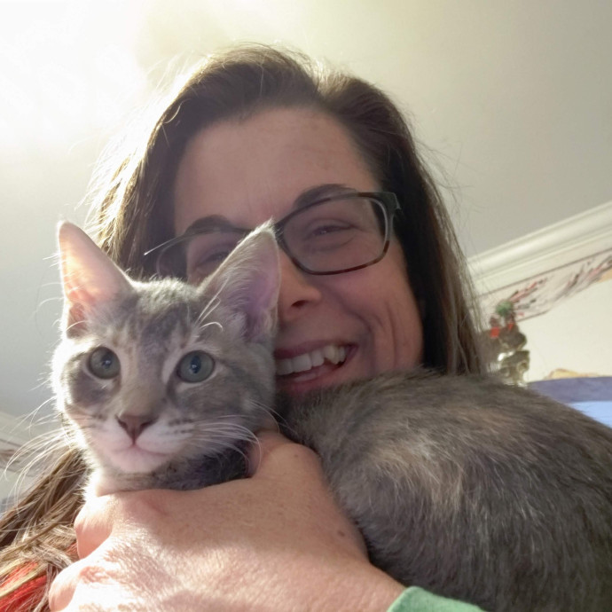 The House Kat Purrfect Cat Care