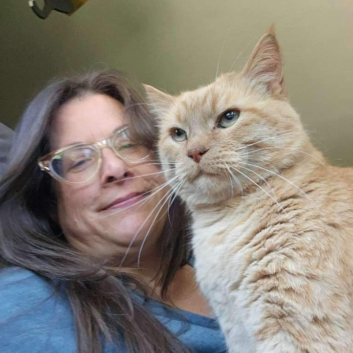 The House Kat Purrfect Cat Care