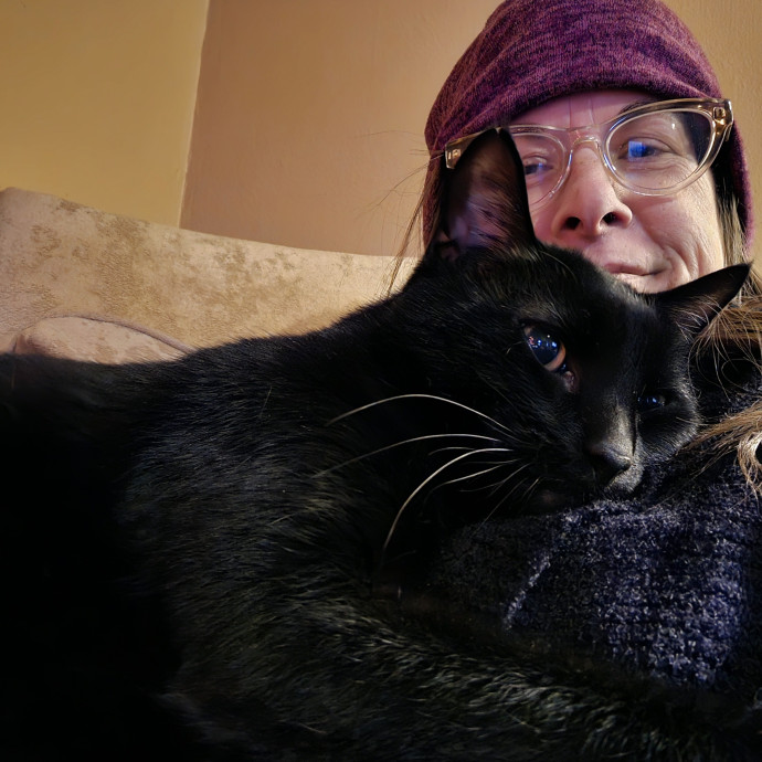The House Kat Purrfect Cat Care