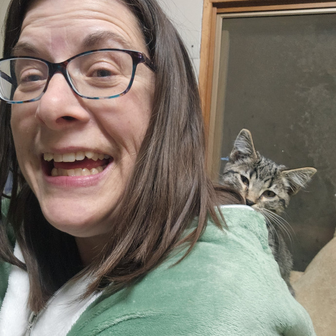 The House Kat Purrfect Cat Care