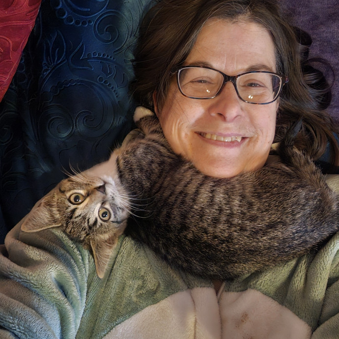 The House Kat Purrfect Cat Care photo 3