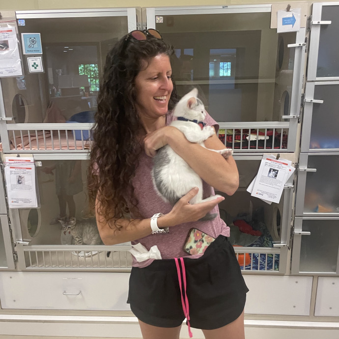 Jill's Kitty Care
