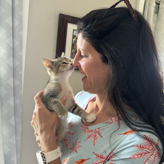 Jill's Kitty Care