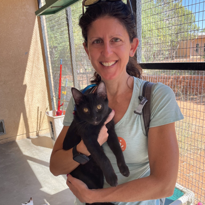 Jill's Kitty Care