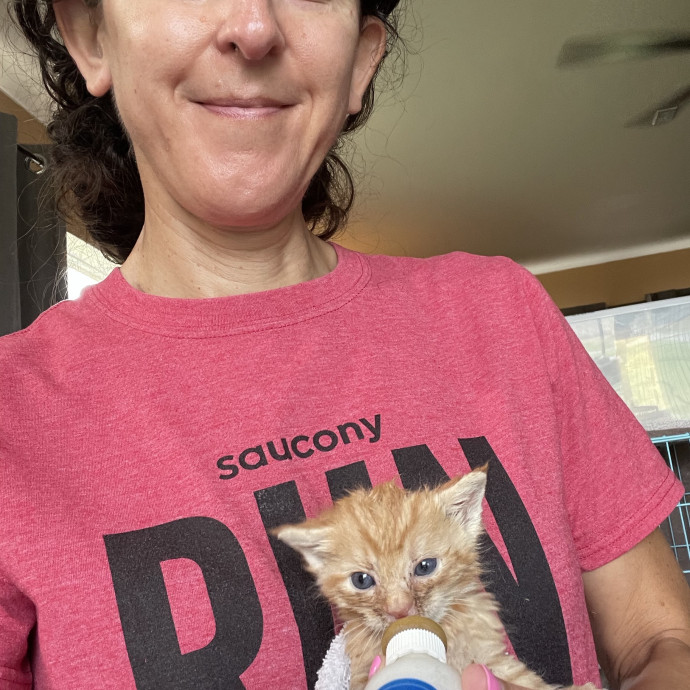 Jill's Kitty Care photo 3