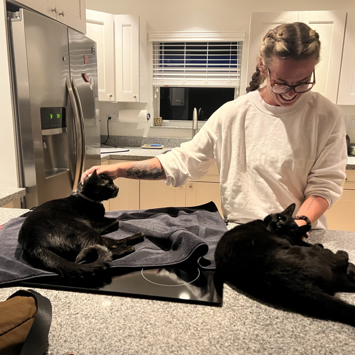 Cat Sitter