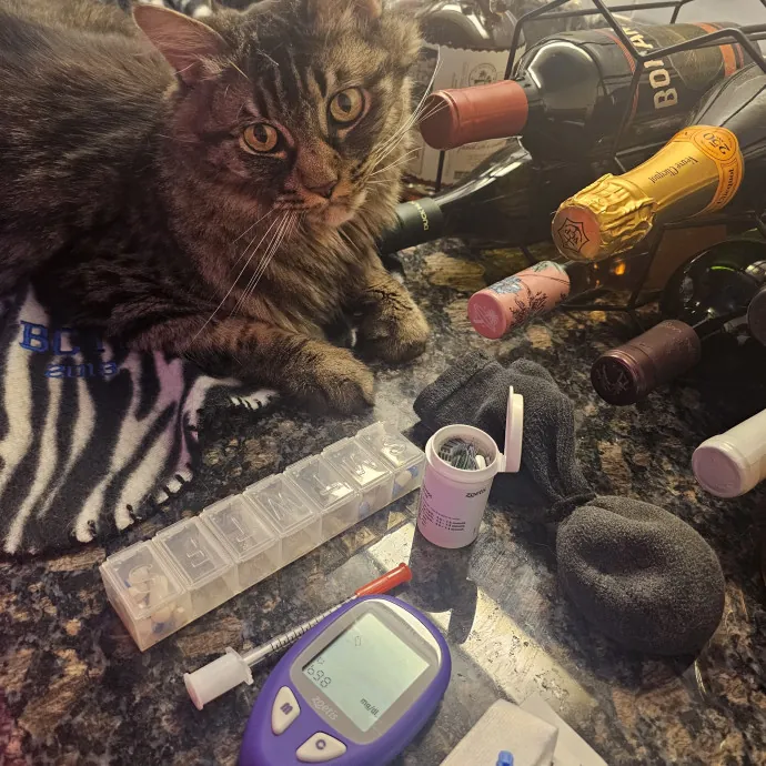 Veterinary Nurse Pet Sitter