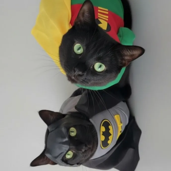 Veterinary Nurse Pet Sitter