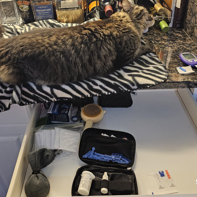 Veterinary Nurse Pet Sitter
