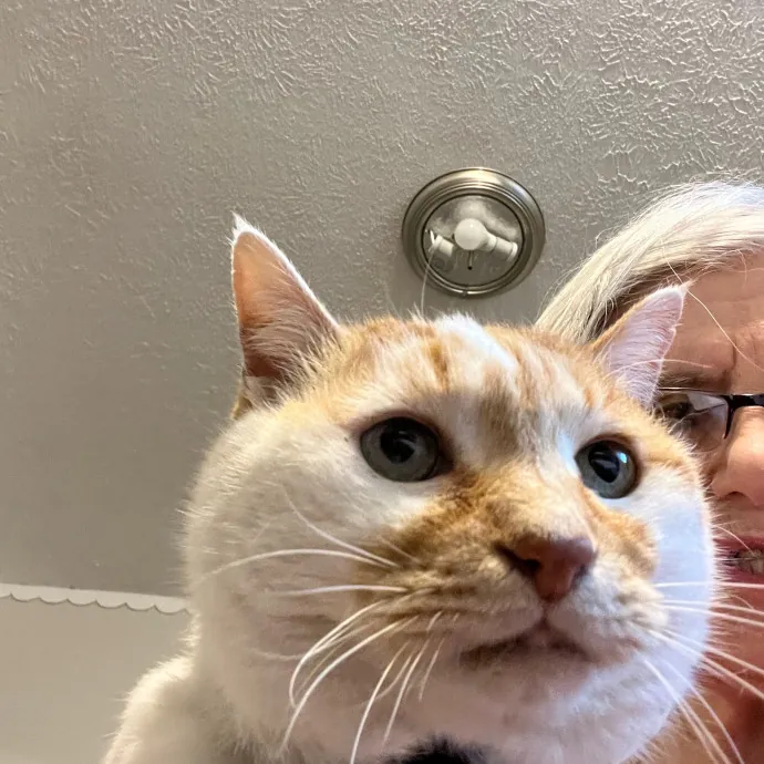 Worthington's Best Kitter Sitter