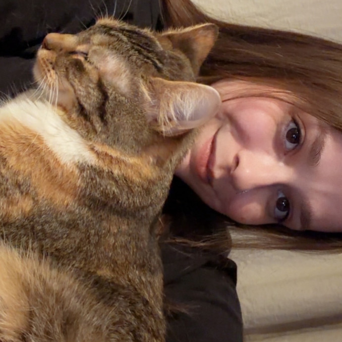 Professional Cat Spoiler
