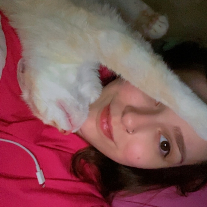 Professional Cat Spoiler photo 2