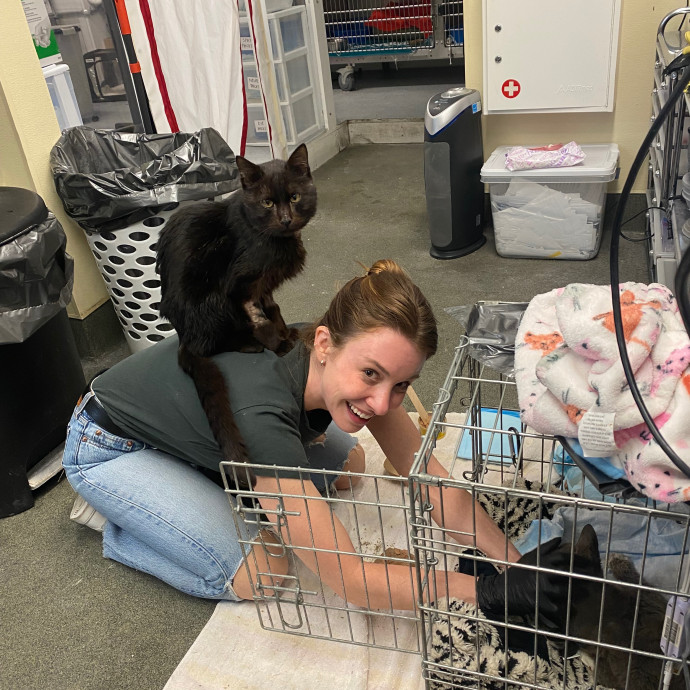 Hannah's Promise North Brooklyn Care