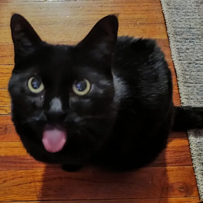Kitty L.