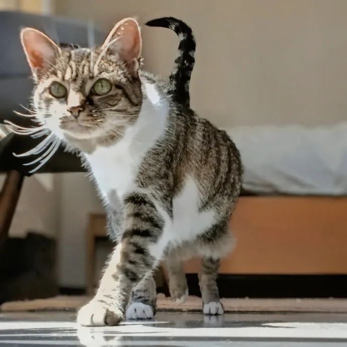 Kitty L.
