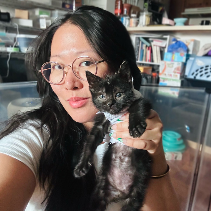 Dedicated Foster And Cat Sitter