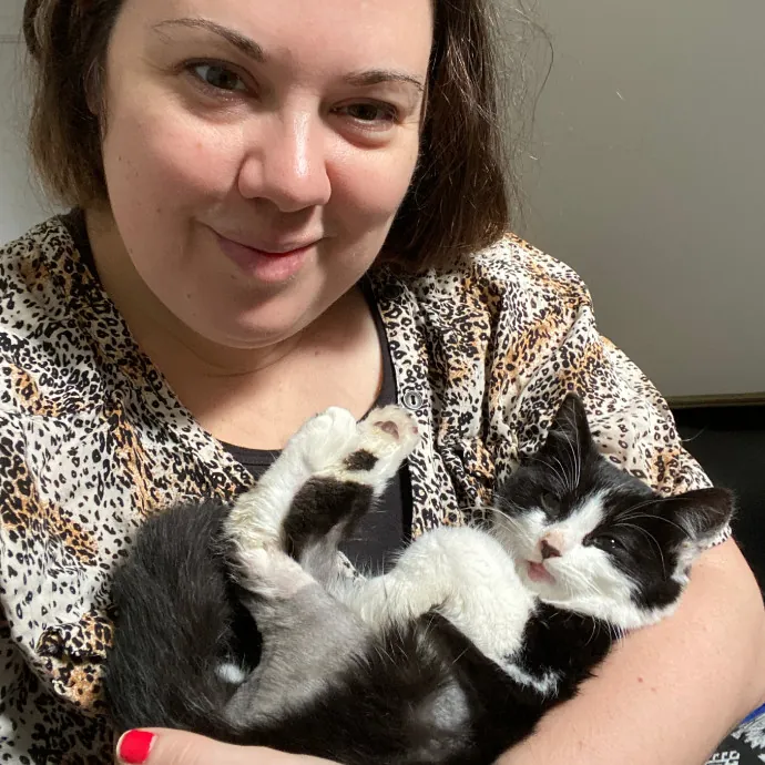 Friendly Reliable  Loving Cat Sitter