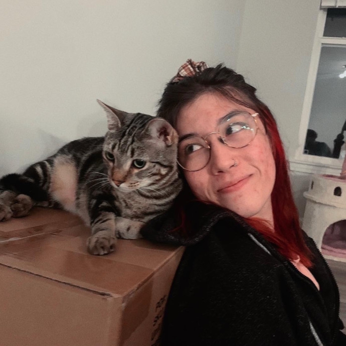 Caring For Your Furry Friends