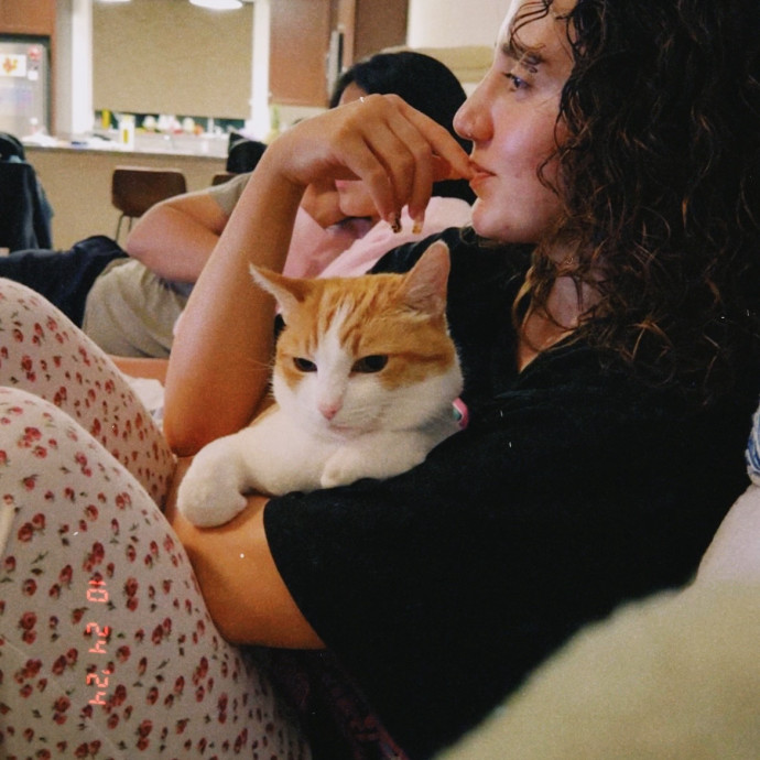 Cat Caretaker