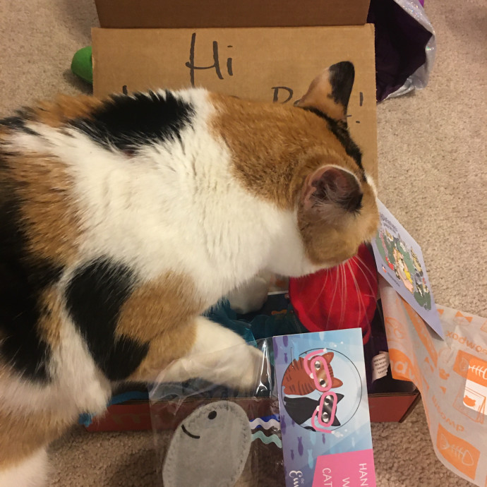 The Cat's Meow With Sonya