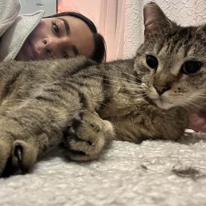 Gentle Cat Sitter