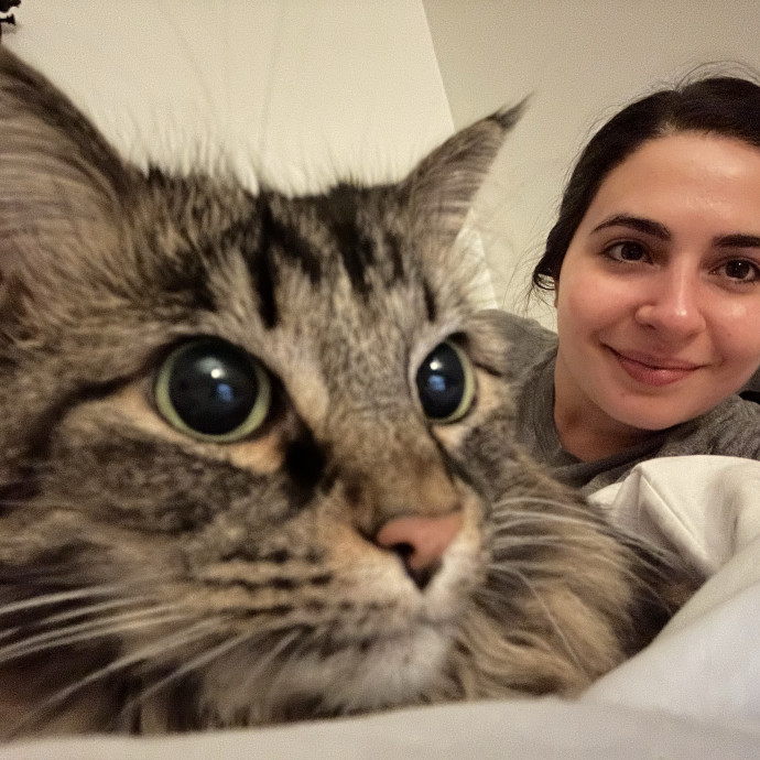 Gentle Cat Sitter