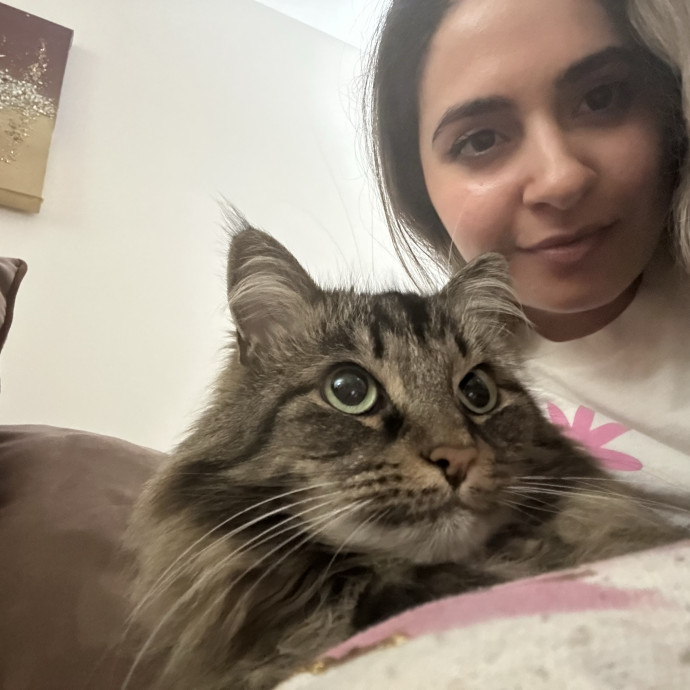 Gentle Cat Sitter photo 3