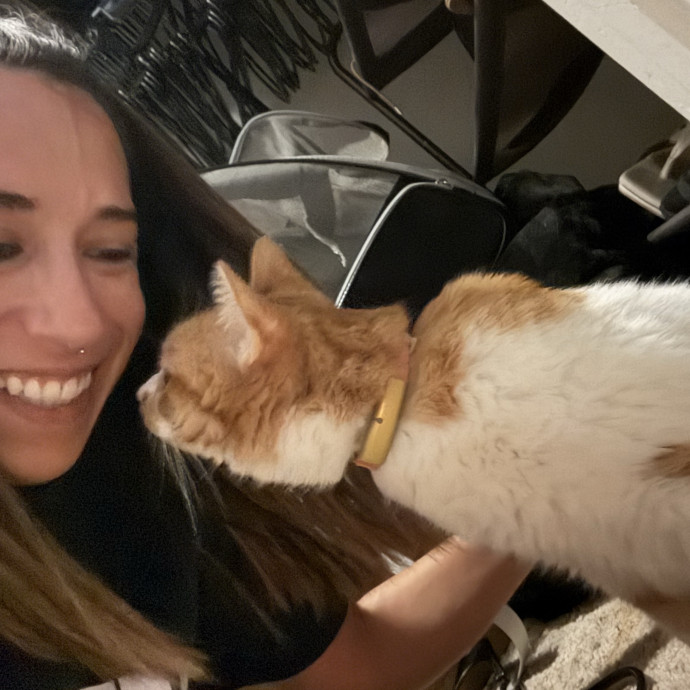 Your Cat's New Favorite Human