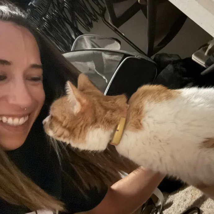 Your Cat's New Favorite Human