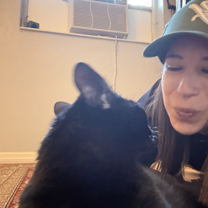 Your Cat's New Favorite Human