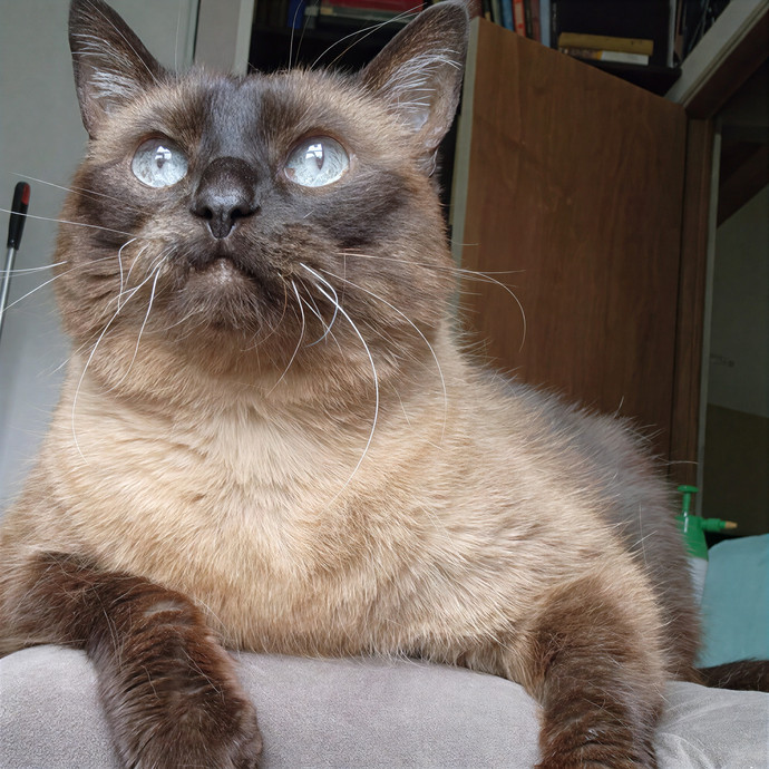 I'll Be There For You