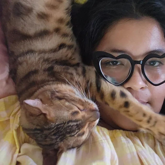 Calm Loving Cat Care