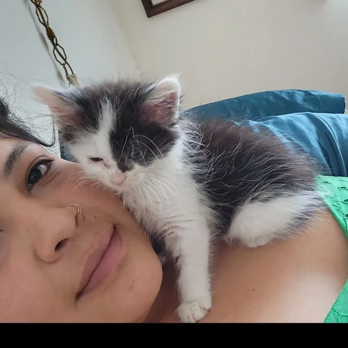 Calm Loving Cat Care photo 2