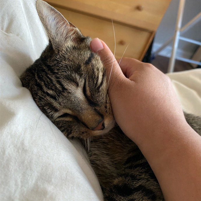 Jeanna Mae's Day Of Cuddles