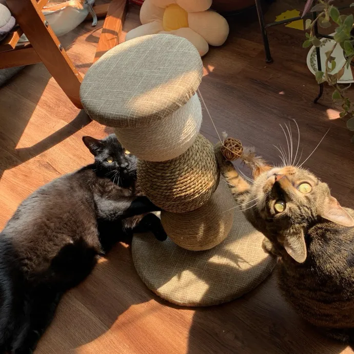 Jeanna Mae's Day Of Cuddles