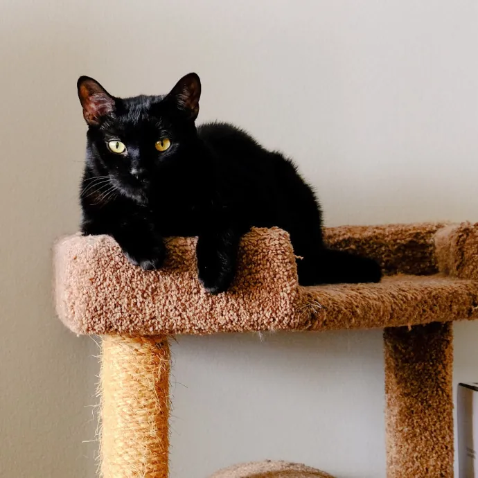 Jeanna Mae's Day Of Cuddles