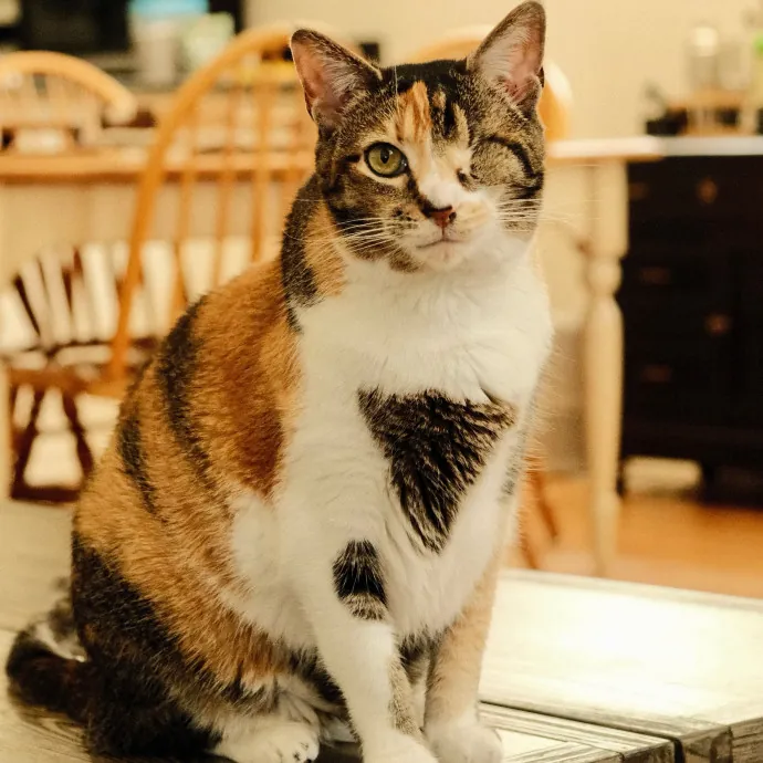 Jeanna Mae's Day Of Cuddles