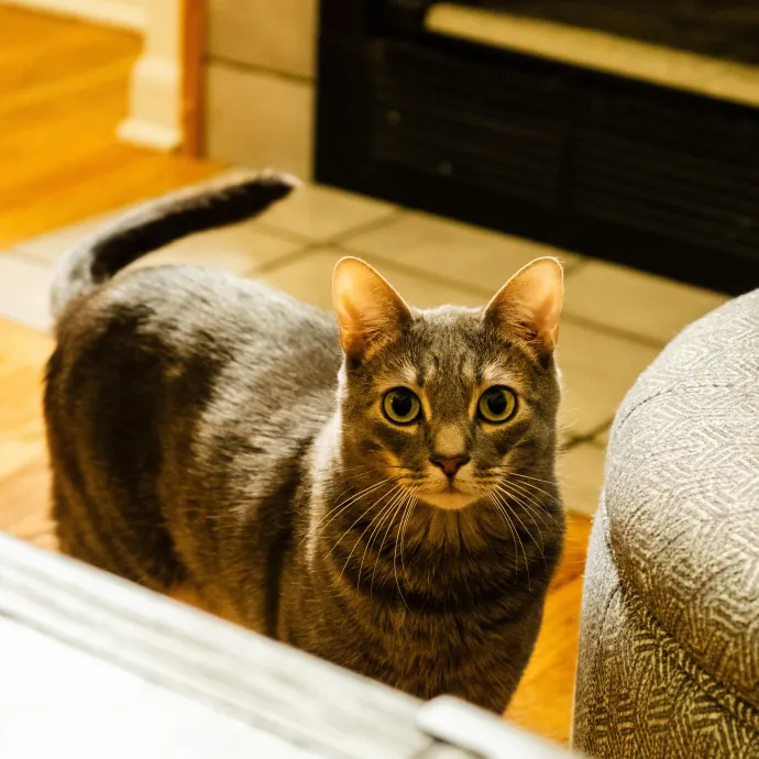 Jeanna Mae's Day Of Cuddles photo 4