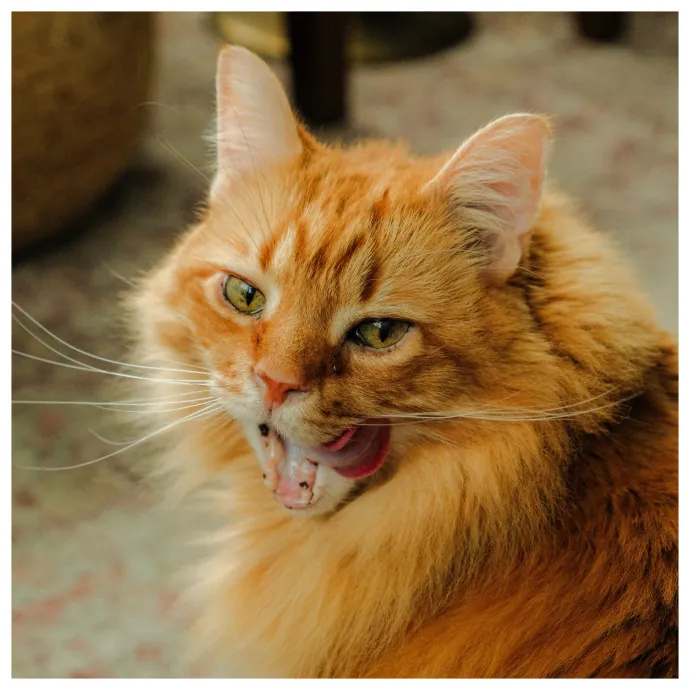 Jeanna Mae's Day Of Cuddles photo 3