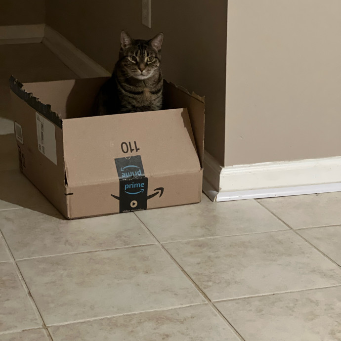 Julie Martin-Loving Reliable Cat Care photo 3